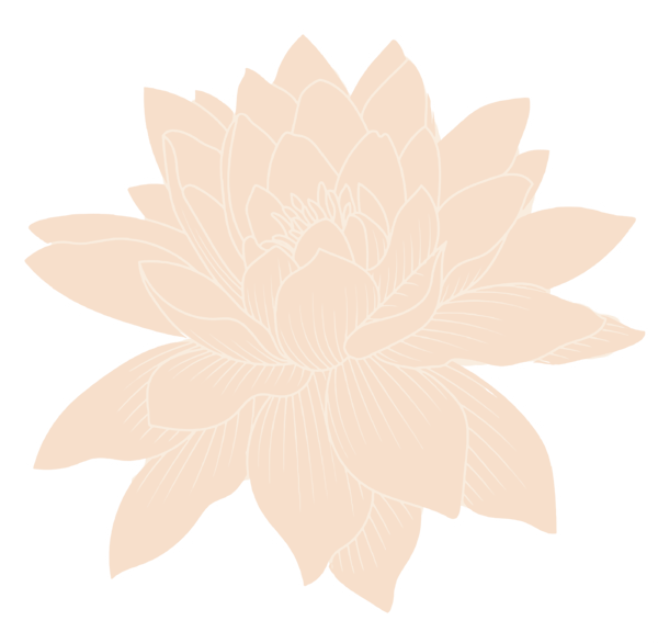plants decoration